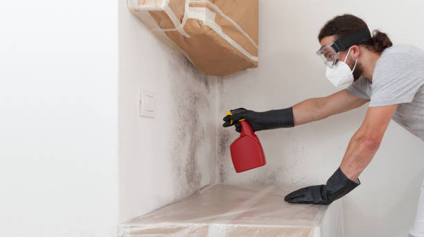Professional Mold Removal technician working in Hampstead, NC